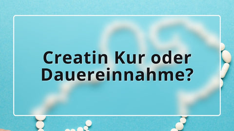 Creatin Kur oder Dauereinnahme?