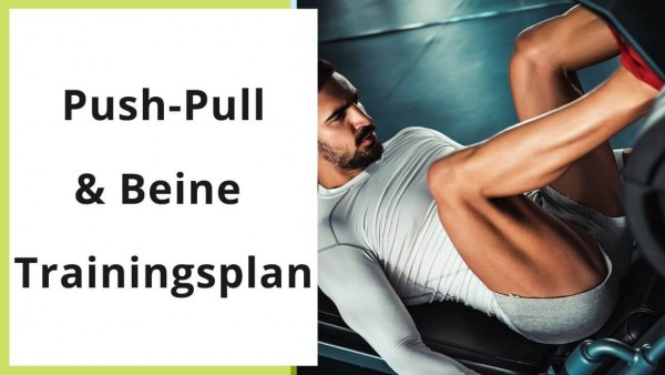 push-pull-beine-trainingsplan