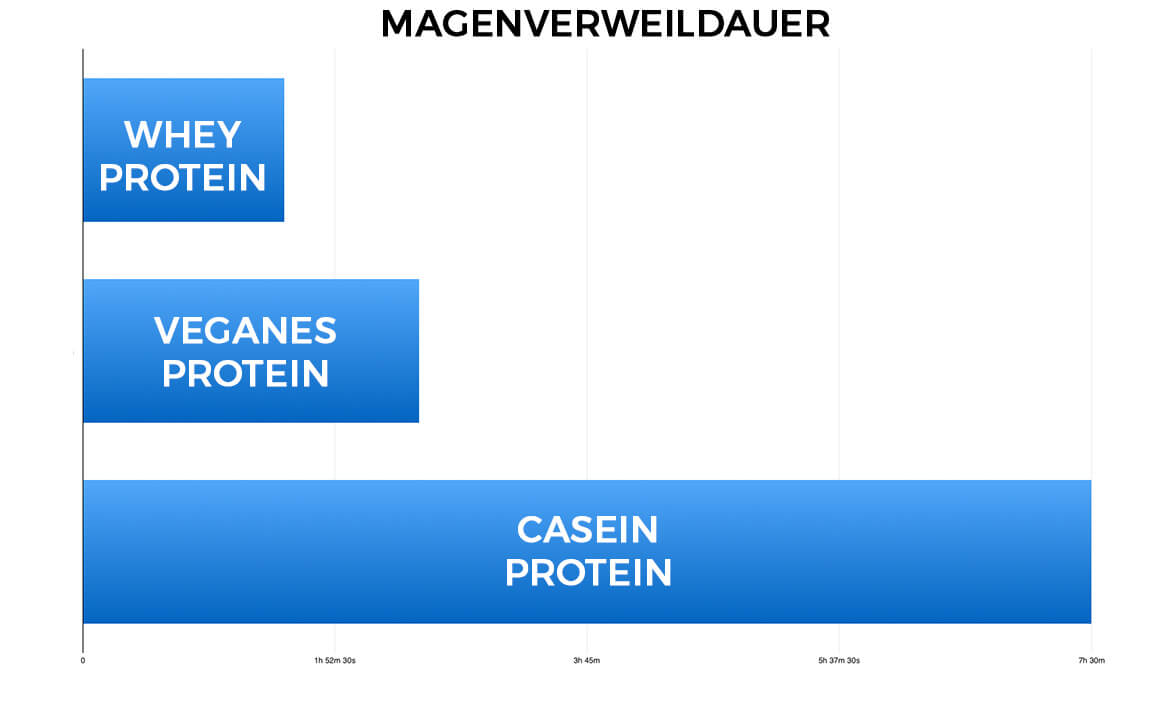 Protein-magenverweildauer